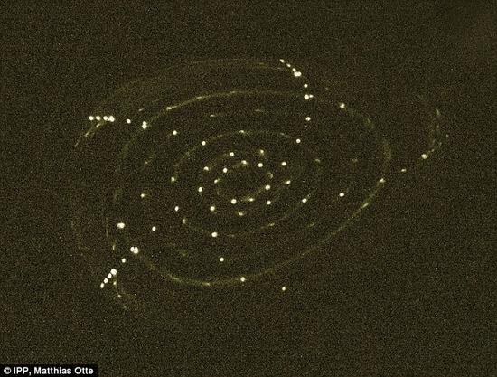 該系統(tǒng)初次測試時(shí)的圖像，顯示了熒光分支閉合的過程，使嵌套的磁場表面變得可見。